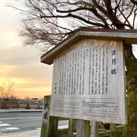 渡月橋の写真・動画_image_534654