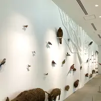 TAKAO 599 MUSEUMの写真・動画_image_534700