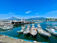 ふじのくに田子の浦みなと公園の写真・動画_image_534727