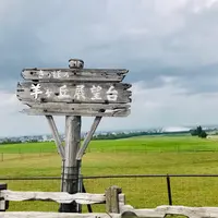 羊ヶ丘展望台の写真・動画_image_534791