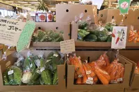 ハッピーモア市場 トロピカル店の写真・動画_image_535058