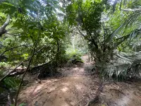 ナーラの滝の写真・動画_image_535634