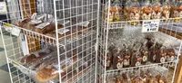 ひるぜんジャージーランドの写真・動画_image_535648