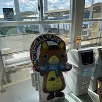 上原港デンサターミナルの写真・動画_image_535658