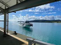 上原港デンサターミナルの写真・動画_image_535659