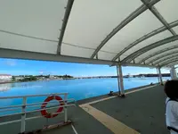 上原港デンサターミナルの写真・動画_image_535660