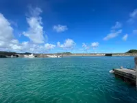 西表ダイビングサービス・トネリコの写真・動画_image_535700