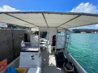 西表ダイビングサービス・トネリコの写真・動画_image_535702