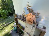 西表ダイビングサービス・トネリコの写真・動画_image_535703