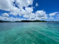 西表ダイビングサービス・トネリコの写真・動画_image_535704