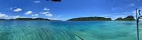 西表ダイビングサービス・トネリコの写真・動画_image_535706