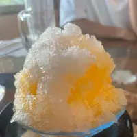 ハナイチ デアマールの写真・動画_image_535710