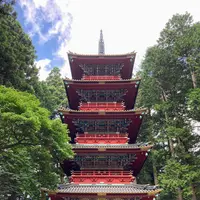 日光東照宮の写真・動画_image_536265