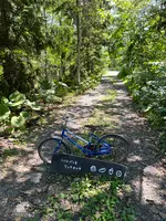 リッカ ロッカの写真・動画_image_536887