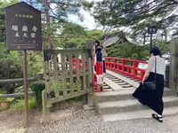 透かし橋の写真・動画_image_537542