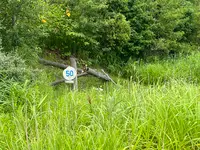 西山火口散策路の写真・動画_image_537639