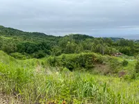 西山火口散策路の写真・動画_image_537641
