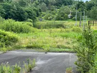 西山火口散策路の写真・動画_image_537642