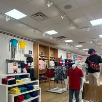 トミー ヒルフィガーの写真・動画_image_537709