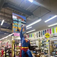 Twinklesの写真・動画_image_537715