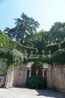 ベッラ島の写真・動画_image_537778