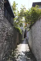 ペスカトーリ島の写真・動画_image_537844