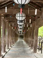長谷寺の写真・動画_image_537888