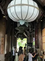 長谷寺の写真・動画_image_537892