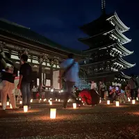 興福寺の写真・動画_image_537897