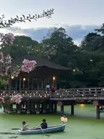 浮御堂の写真・動画_image_537898