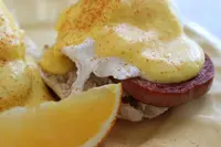 The Kracked Eggの写真・動画_image_538007