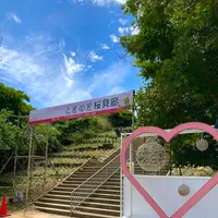 世界一長いベンチの写真・動画_image_538120