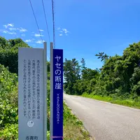 ヤセの断崖の写真・動画_image_538122