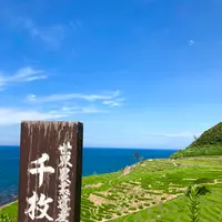 白米千枚田の写真・動画_image_538133