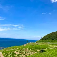 白米千枚田の写真・動画_image_538134