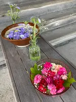 重蔵神社の写真・動画_image_538140