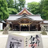 白山比咩神社の写真・動画_image_538174