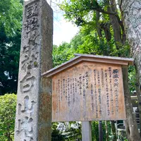 白山比咩神社の写真・動画_image_538178