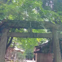 金剣宮の写真・動画_image_538182
