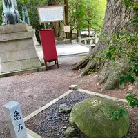 金剣宮の写真・動画_image_538188
