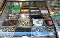 流行海產餐廳の写真・動画_image_538478