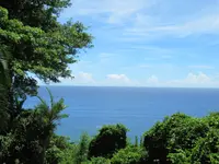 山猪溝原始森林歩道の写真・動画_image_538512