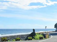 紅番石の写真・動画_image_538533