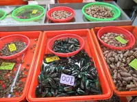 華僑魚市場の写真・動画_image_538543