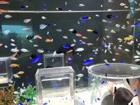 のとじま水族館　の写真・動画_image_539259