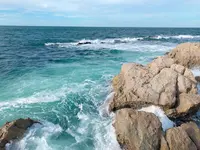鴨ヶ浦散歩道の写真・動画_image_539281