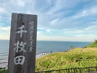 白米千枚田の写真・動画_image_539287