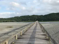 蓬莱橋の写真・動画_image_539748