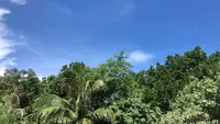 星野リゾート 西表島ホテルの写真・動画_image_540042
