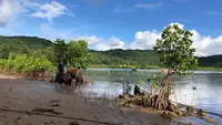星野リゾート 西表島ホテルの写真・動画_image_540053